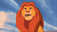 Lion King Whoops GIF - Lion King Whoops GIFs