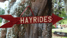 Hayride GIF - Hayride Hayrides Fair GIFs