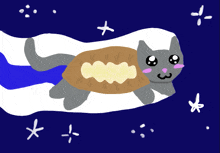 a drawing of a cat flying through space with a turtle on its back