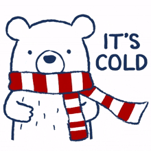 cold bear