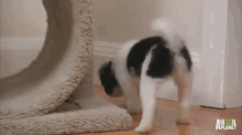 I Watch My Subjects From On High GIF - Cat Watch Puppies GIFs