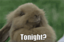 Tonight When GIF - Tonight When Today GIFs