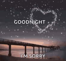 a bridge over a body of water with the words goodnight i 'm sorry