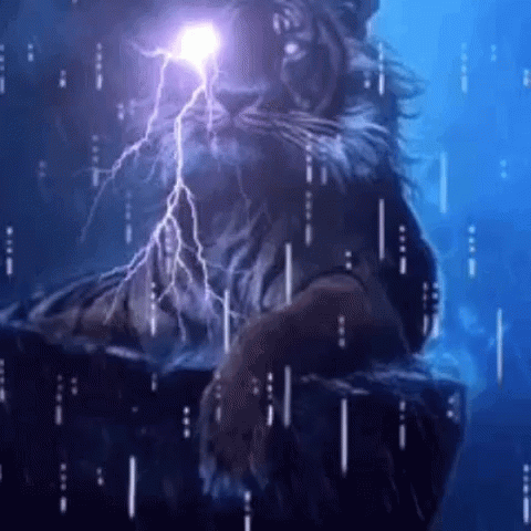 Tiger Rain GIF - Tiger Rain Lightning - Discover & Share GIFs
