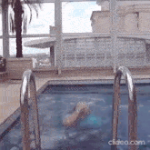 a woman is swimming in a swimming pool with a palm tree in the background .