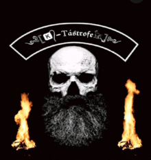 a skull with a beard is surrounded by flames and the words k-tastrofe