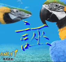 Only1gif Parrot GIF - Only1gif Parrot Like GIFs