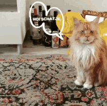 Hoi Schatje Maine Coon GIF - Hoi Schatje Maine Coon Poes GIFs
