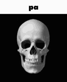Toki Pona Skull GIF - Toki Pona Skull Bruh GIFs