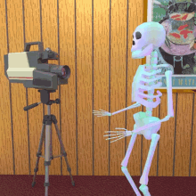Skeleton Cam GIF - Skeleton Cam Dance GIFs