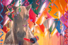 Tomascore Horse GIF - Tomascore Horse Birthday GIFs