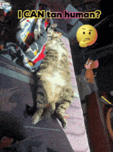 a cat is laying on a bed with the words " i can tan human " below it