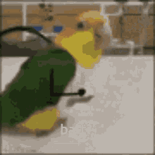 Barti Birdman GIF - Barti Birdman Barti Bird GIFs