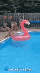 a woman is jumping into a swimming pool with a flamingo float .