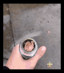 Hose Water GIF - Hose Water Water Hose GIFs