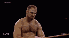 a shirtless wrestler stands in a wrestling ring with a usa logo in the corner