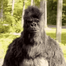 Yes Punch GIF - Yes Punch Gorilla GIFs