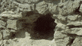 a small hole in a rock wall with a few pieces of dirt in it