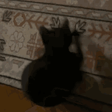 Blackcat Funny GIF - Blackcat Funny Jijicat GIFs
