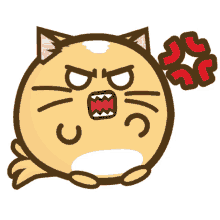 angry cat annoyed upset kawaii