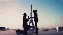 Proposal Eiffel Tower GIF