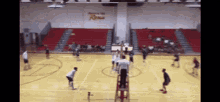 Volleyball Headshot GIF - Volleyball Headshot GIFs
