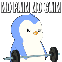 a penguin is lifting a barbell with the words " no pain no gain " behind it