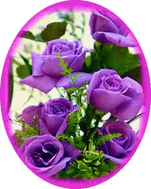 Purple Flowers GIF