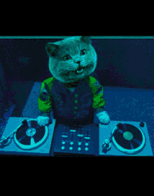 Cat Dance GIF - Cat Dance Lit GIFs