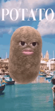 Potato Ugly GIF - Potato Ugly Confused Face GIFs