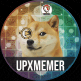 a picture of a dog and the words upxmemer on the bottom