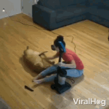 Dog Grooming Viralhog GIF - Dog Grooming Viralhog Getting Cleaned Up GIFs