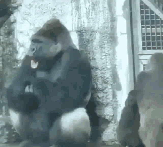 Mad Gorilla Pounding Chest Decals