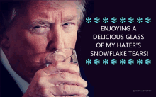Trump Tears GIF - Trump Tears Snowflake GIFs