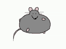 Rat Run GIF - Rat Run Chonk GIFs