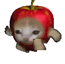 a cat is wearing a red apple hat and eating an apple .