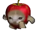 a cat is wearing a red apple hat and eating an apple .