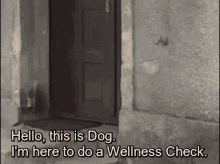 Wellness Check Dog GIF - Wellness Check Dog Check On Your Neighbors GIFs