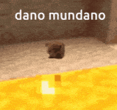 a small dog is walking on a yellow carpet with the words dano mundano written above it .