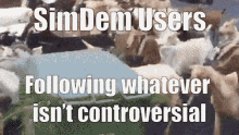 Sim Democracy Controversial GIF