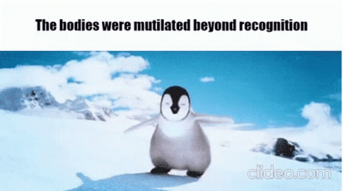 Funny Penguin GIF - Funny Penguin Dance - Discover & Share GIFs