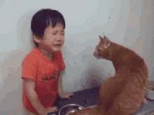 sad kid kiss cat comfort