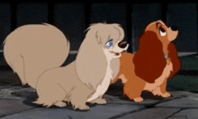 Peg And Lady Lady And The Tramp GIF - Peg And Lady Lady And The Tramp GIFs