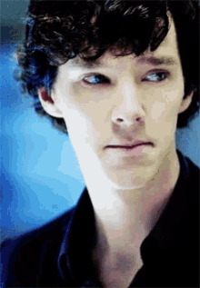 What Sherlock GIF - What Sherlock Benedict Cumberbatch GIFs
