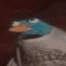 Perry The GIF