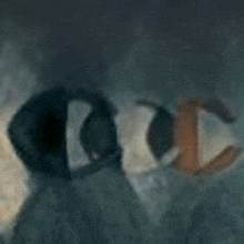 a close up of a painting of a penguin 's eyes behind a glass .