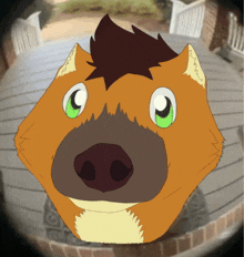 Manedwolf Dog GIF - Manedwolf Dog Ring Doorbell GIFs