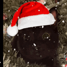 a black cat is wearing a santa hat in the snow