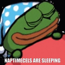 Naptimecels Naptimecels Are Sleeping GIF - Naptimecels Naptimecels Are Sleeping Aidancels GIFs