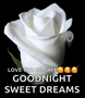 Good Night Sweet Dreams GIF - Good Night Sweet Dreams Flower GIFs